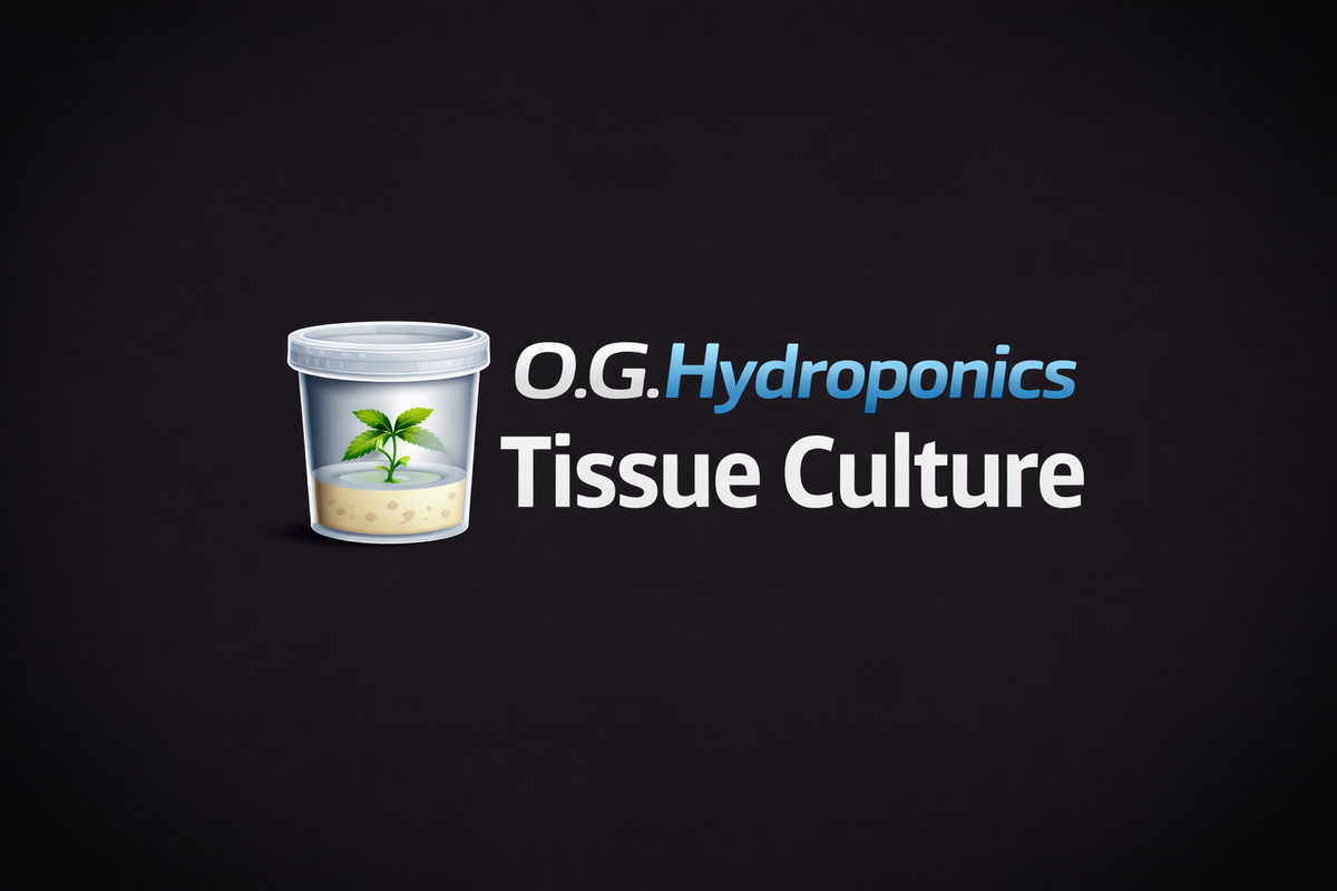 Tissue Culture Vessel - InVitro Behältnis
