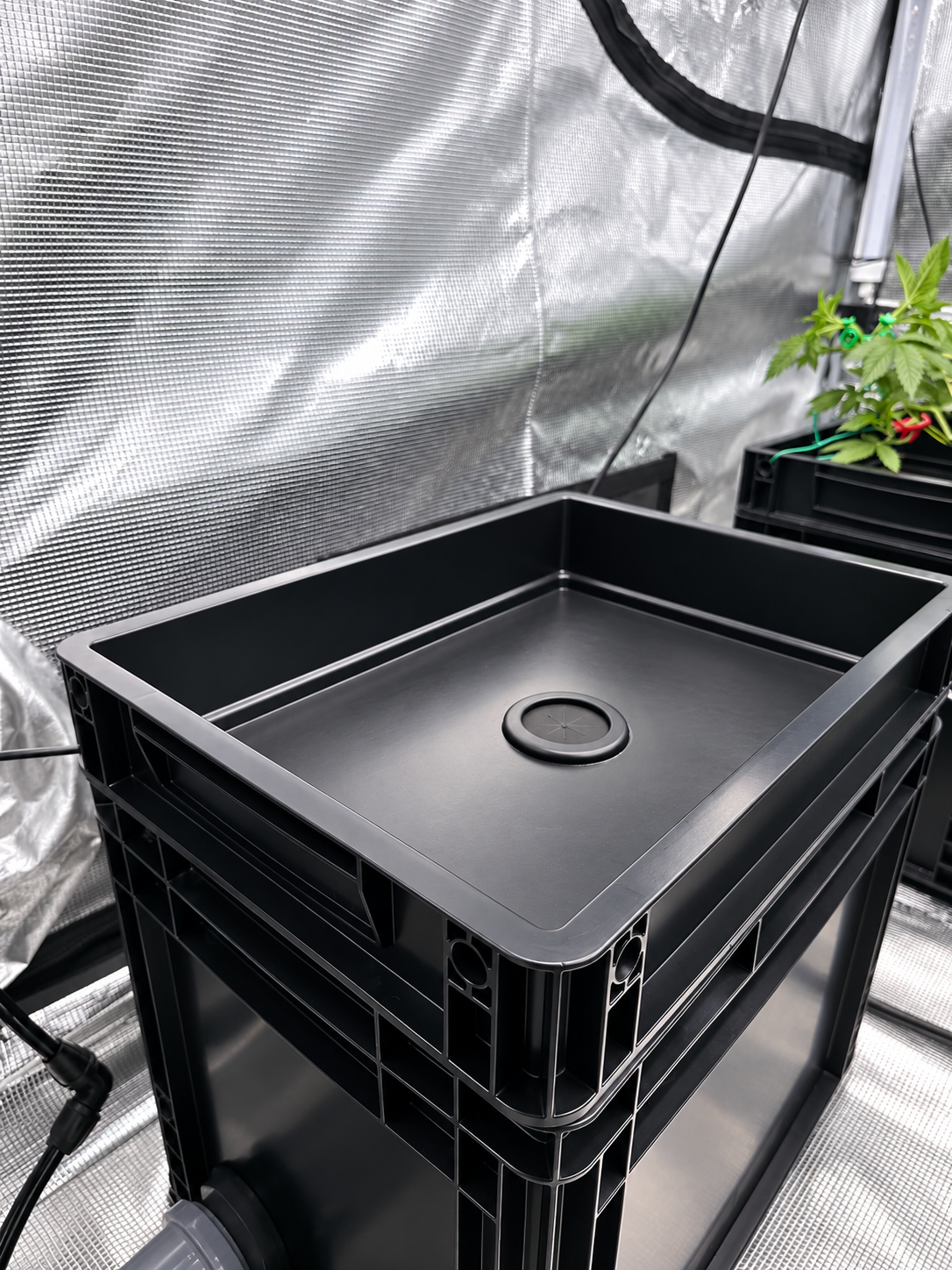 RDWC BlackBox 3+1
