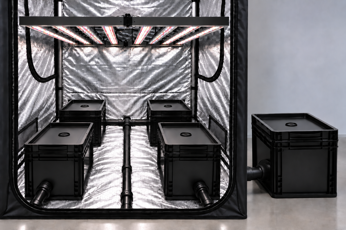 RDWC BlackBox 4+1