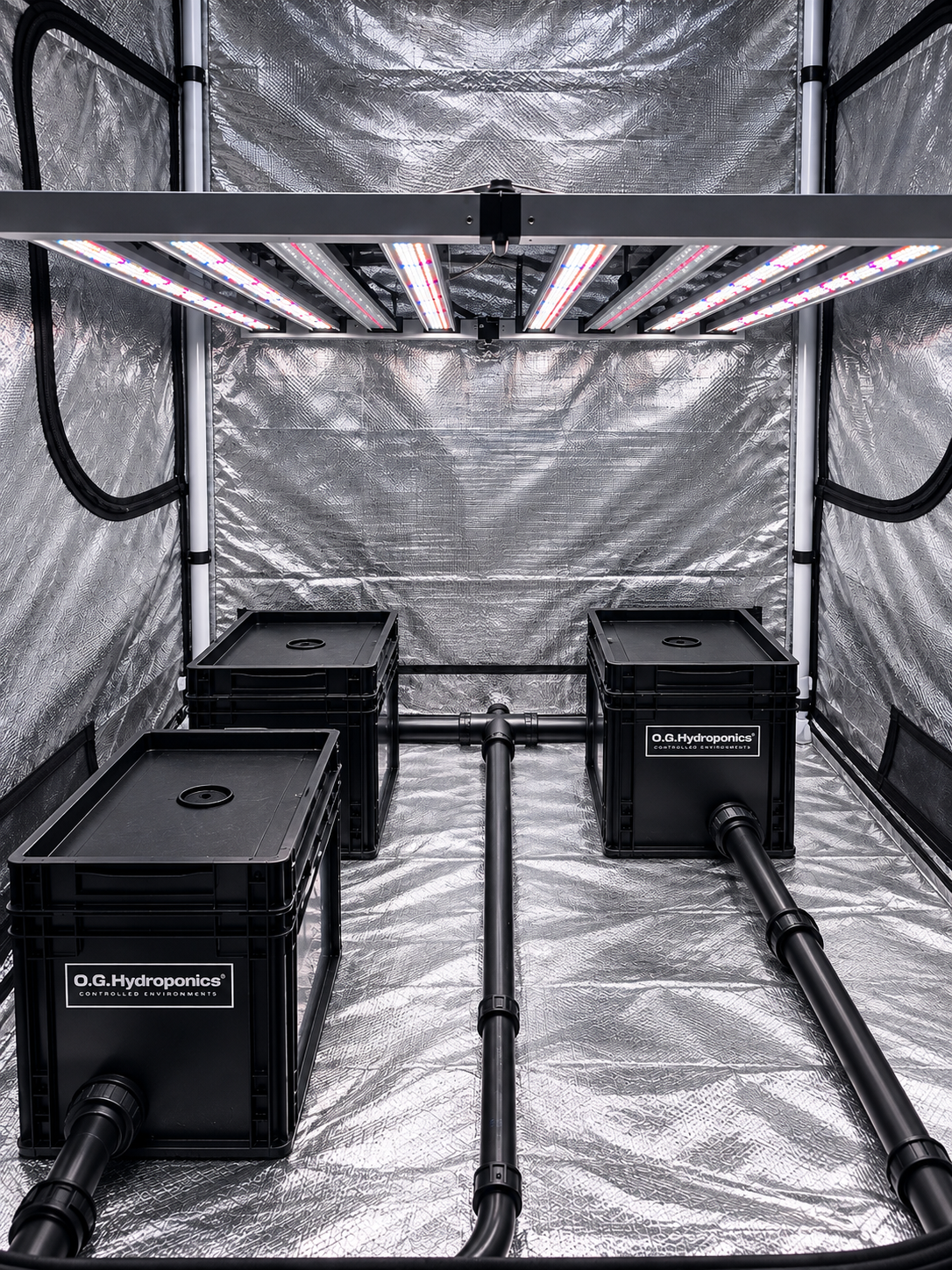 RDWC BlackBox 3+1