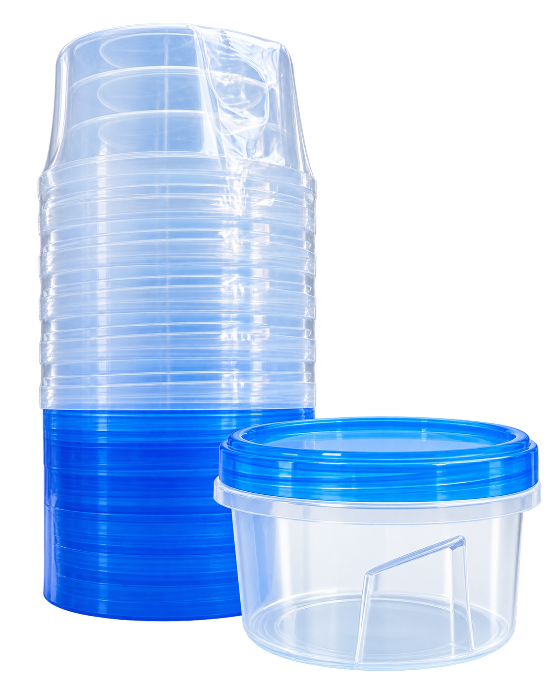 Tissue Culture Behälter 500ml