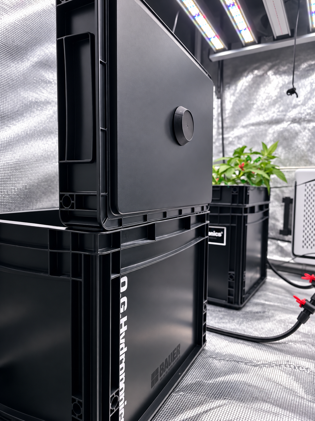 RDWC BlackBox 3+1