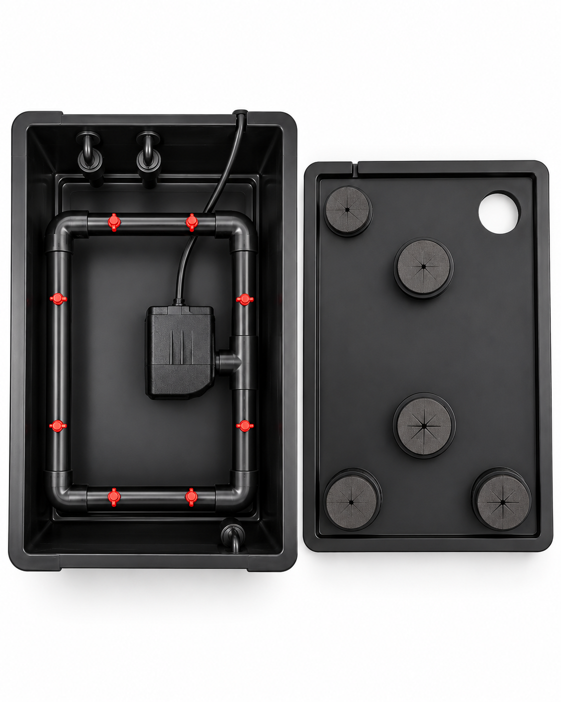 BLACKBOX Clone Machine