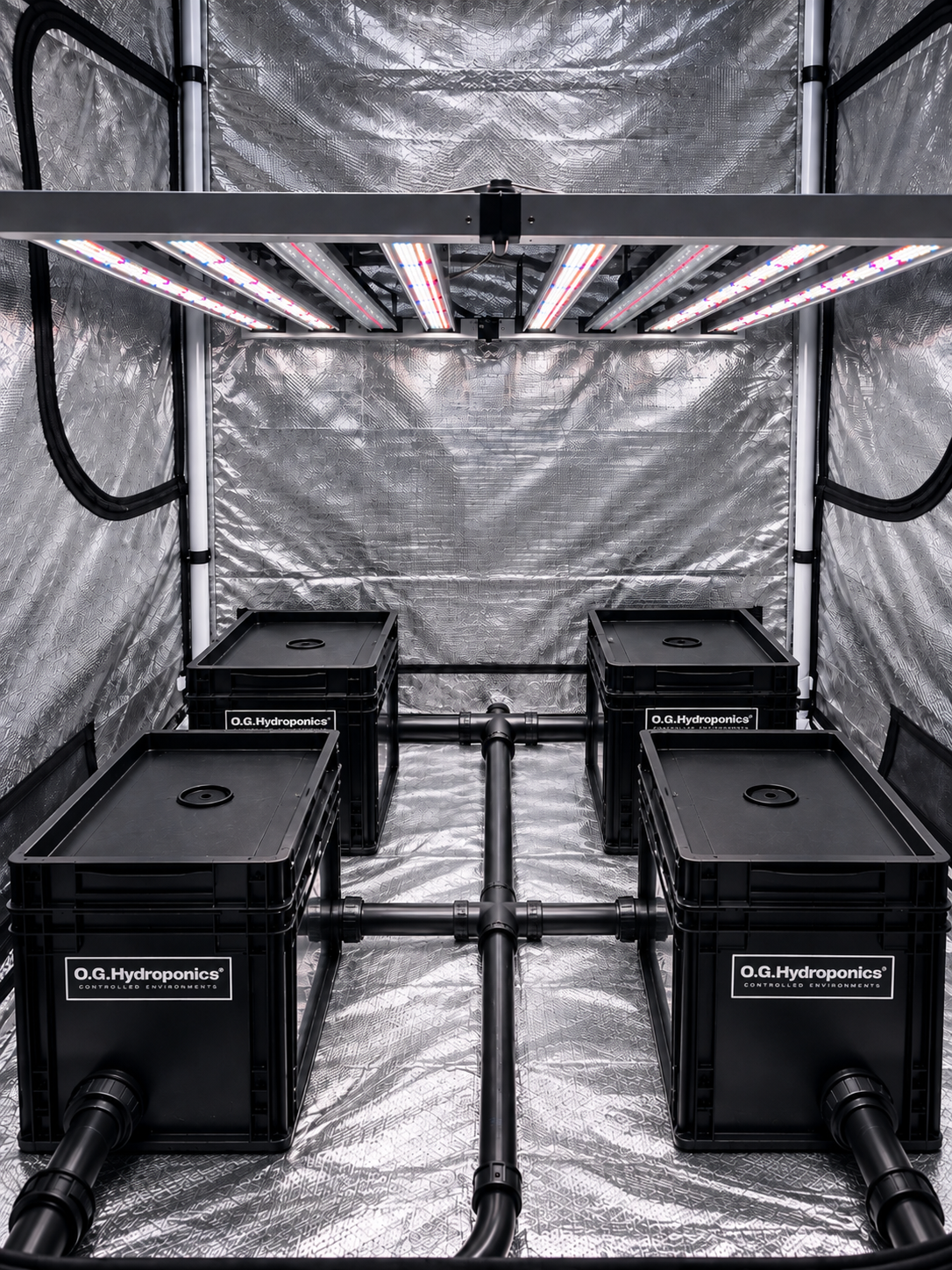 RDWC BlackBox 4+1