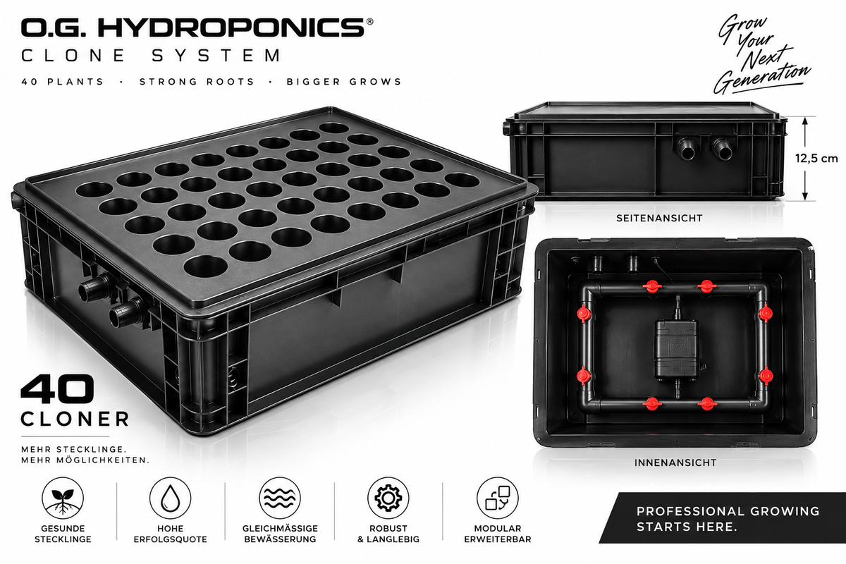 BLACKBOX Clone Machine
